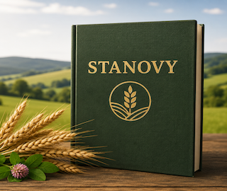 Stanovy 2025