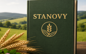 Stanovy 2025